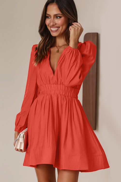 On The Chase V-Neck Long Sleeve Mini Dress