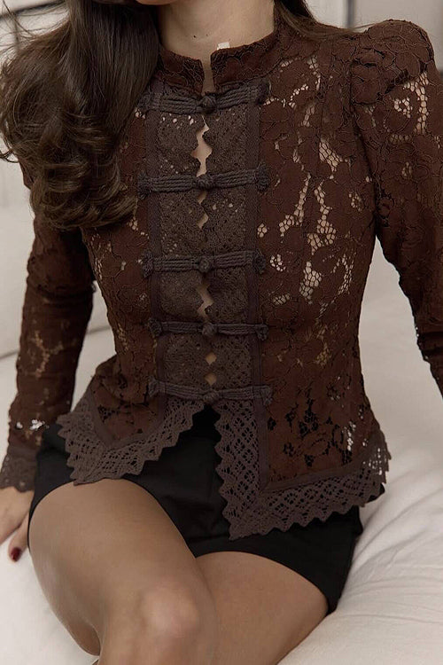 Celita Sheer Eyelash Lace Long Sleeve Top