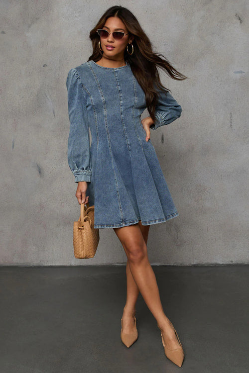 Delightful Looking Flare Denim Mini Dress