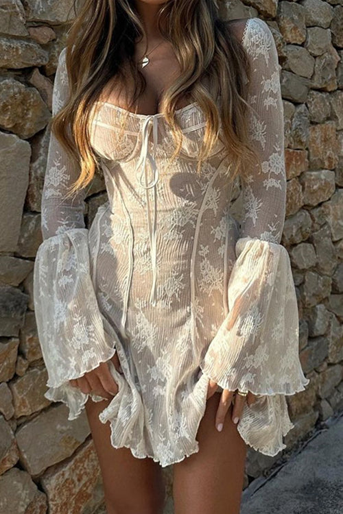 Days of Radiance Lace Long Sleeve Mini Dress