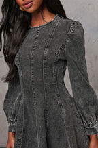 Delightful Looking Flare Denim Mini Dress
