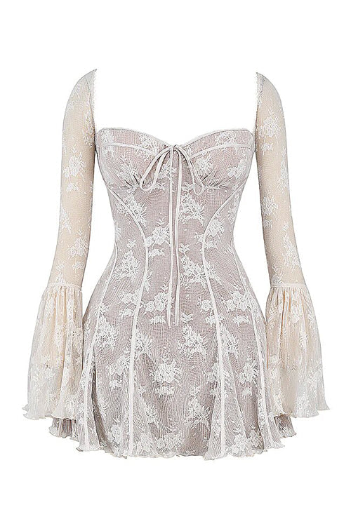 Days of Radiance Lace Long Sleeve Mini Dress