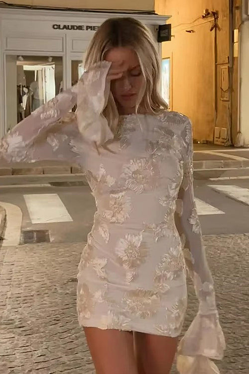Coveted Charm Embroidery Mini Dress