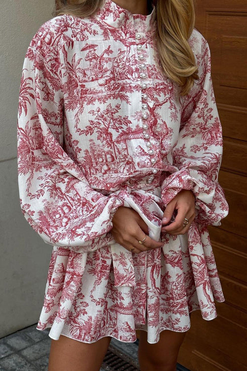 My Romantic Tale Printed Skater Mini Dress