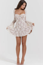 Days of Radiance Lace Long Sleeve Mini Dress