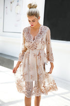 Sequin V-neck Half Sleeve Dress