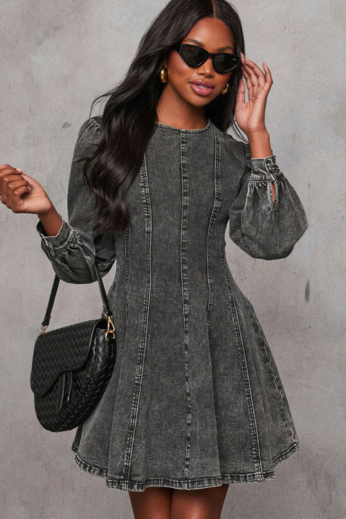 Delightful Looking Flare Denim Mini Dress